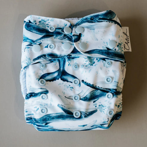 SECOND HAND | Cloth Bums Pixie + All in Two Pocket Nappy + HEMP DUO INSERT SET